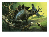 Stegosaurus Giclee Print by English School 