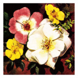 Rose Giclee Print by English School 