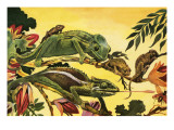Chameleon Giclee Print by English School 