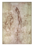 Study for David reproduction procédé giclée par Michelangelo Buonarroti 
