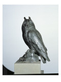 Owl Giclee Print by Giambologna 