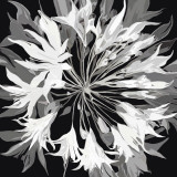 Radiance II Posters by Sally Scaffardi