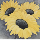 Sunflower Serenade I Prints by Kaye Lake