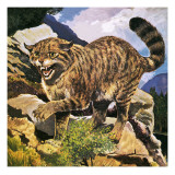 Chat sauvage reproduction procédé giclée par G. W Backhouse