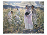 Indian Corn, Taos Giclee-vedos tekijänä Walter Ufer