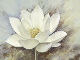 White Elegance I Affiches par Danielle Nengerman