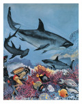Requins reproduction procédé giclée par G. W Backhouse