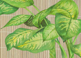 Tropical Leaves I Prints by D. Patrian
