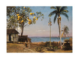 Tropical Scene reproduction procédé giclée par Albert Bierstadt