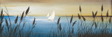 Shoreline I Prints by G. Gerard