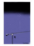 How High Is Your Cow Blue Posters by Pascal Normand