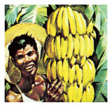 Bananas Giclee Print by English School 