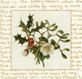 Season Flower Prints