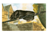 Rat Leaving a Ship Giclee Print by English School 