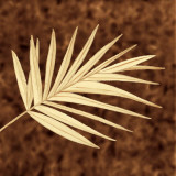 Tropical Leaves III Prints by L. Morales