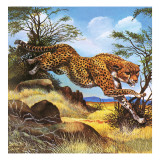 Guépard au galop reproduction procédé giclée par G. W Backhouse