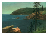 Côte californienne reproduction procédé giclée par Albert Bierstadt