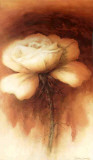 Roses I Posters by Betty Jansma