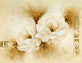 Modest Beauty II Art by Betty Jansma