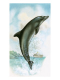 Jumping Dolphin Giclee Print by English School 