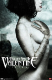 Bullet For My Valentine - Fever Pôsters