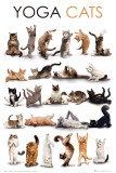 YOGA CATS Poster
