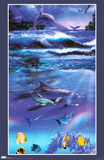 Rainbow Dolphins Photo