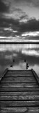 Jetty at Dawn, Chesil Beach, Dorset Affiches par Ben Pipe