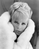 Elke Sommer Photo