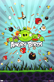 Angry Birds Photo