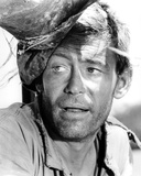 Peter O'Toole - Murphy's War Photo