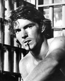 Dennis Quaid - The Night the Lights Went Out in Georgia Fotografía