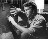Ryan O'Neal - The Thief Who Came to Dinner Photo