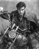 Dolph Lundgren Fotografía Dolph Lundgren Fotografía