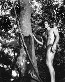 Ron Ely - Tarzan Photo