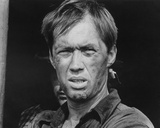 David Carradine - Cannonball! Photo