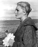 Kim Novak - Vertigo Photo