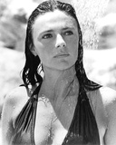 Jacqueline Bisset Photo