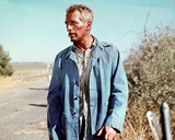 Paul Newman Photo