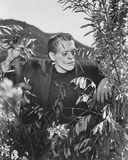 Boris Karloff Photo