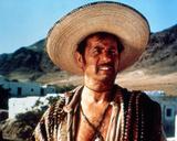 Eli Wallach Photo