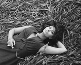 Sophia Loren Photographie