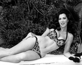edy williams