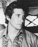 Richard Gere Photo