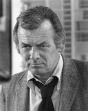David Janssen - Harry O Photographie