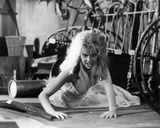 Amanda Bearse - Fright Night Photo