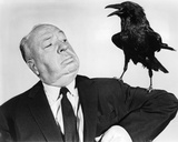 Alfred Hitchcock - The Birds Photographie
