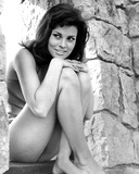 Raquel Welch Photo