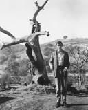 Anthony Perkins Photo
