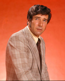 Robert Fuller Photo